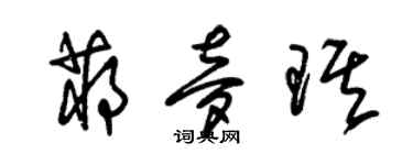 朱錫榮蔣夢琪草書個性簽名怎么寫
