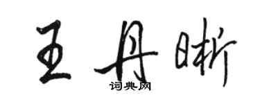 駱恆光王丹晰行書個性簽名怎么寫