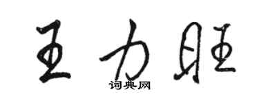 駱恆光王力旺行書個性簽名怎么寫