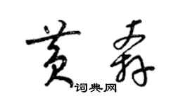 梁錦英黃奔草書個性簽名怎么寫