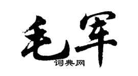 胡問遂毛軍行書個性簽名怎么寫