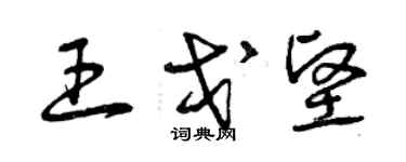 曾慶福王戈堅草書個性簽名怎么寫