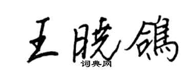 王正良王曉鴿行書個性簽名怎么寫