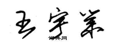 朱錫榮王宇業草書個性簽名怎么寫