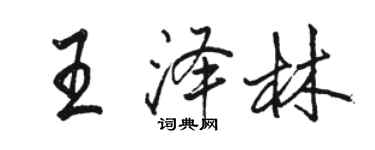 駱恆光王澤林行書個性簽名怎么寫