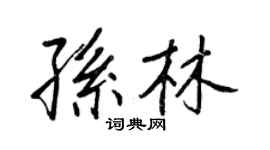 王正良孫林行書個性簽名怎么寫