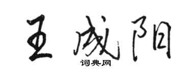 駱恆光王成陽行書個性簽名怎么寫