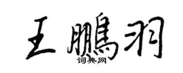 王正良王鵬羽行書個性簽名怎么寫