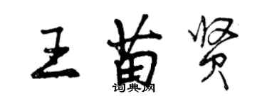 曾慶福王苗賢行書個性簽名怎么寫