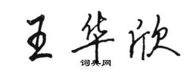 駱恆光王華欣行書個性簽名怎么寫