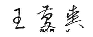 駱恆光王慶爽草書個性簽名怎么寫