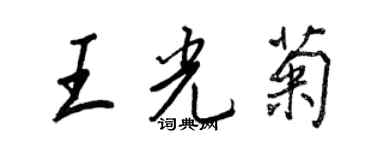 王正良王光菊行書個性簽名怎么寫