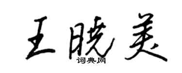 王正良王曉美行書個性簽名怎么寫