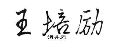 駱恆光王培勵行書個性簽名怎么寫