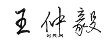 駱恆光王仲毅行書個性簽名怎么寫