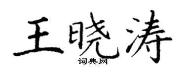 丁謙王曉濤楷書個性簽名怎么寫