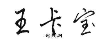 駱恆光王卡寶行書個性簽名怎么寫