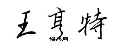 王正良王亨特行書個性簽名怎么寫