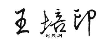 駱恆光王培印行書個性簽名怎么寫