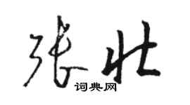 駱恆光張壯草書個性簽名怎么寫