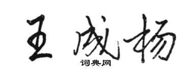 駱恆光王成楊行書個性簽名怎么寫