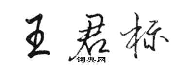 駱恆光王君標行書個性簽名怎么寫