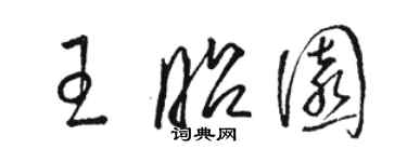 駱恆光王昭園草書個性簽名怎么寫