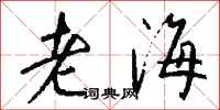 錢沛雲老海行書怎么寫