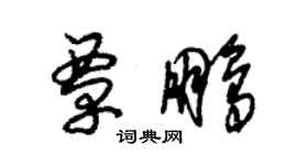 朱錫榮覃鵬草書個性簽名怎么寫