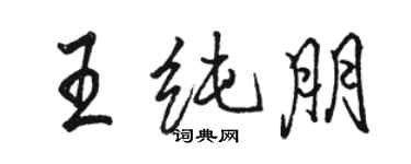 駱恆光王純朋行書個性簽名怎么寫