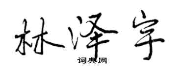 曾慶福林澤宇行書個性簽名怎么寫