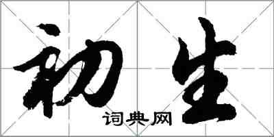 胡問遂初生行書怎么寫