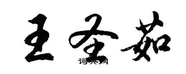 胡問遂王聖茹行書個性簽名怎么寫