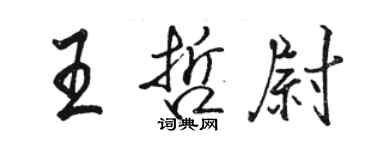 駱恆光王哲尉行書個性簽名怎么寫