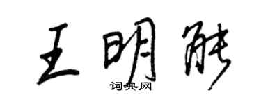 王正良王明能行書個性簽名怎么寫