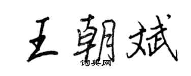 王正良王朝斌行書個性簽名怎么寫