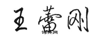 駱恆光王蕾剛行書個性簽名怎么寫