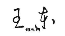 駱恆光王東草書個性簽名怎么寫