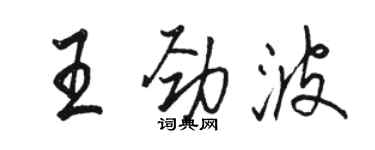 駱恆光王勁波行書個性簽名怎么寫