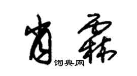 朱錫榮肖霖草書個性簽名怎么寫