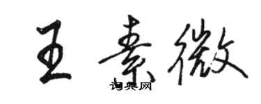 駱恆光王素微行書個性簽名怎么寫