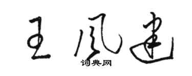 駱恆光王風建草書個性簽名怎么寫