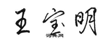 駱恆光王寶明行書個性簽名怎么寫