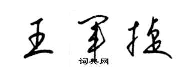 梁錦英王軍捷草書個性簽名怎么寫