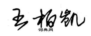 朱錫榮王柏凱草書個性簽名怎么寫