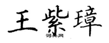 丁謙王紫璋楷書個性簽名怎么寫