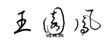 梁錦英王園鳳草書個性簽名怎么寫