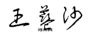 曾慶福王藍沙草書個性簽名怎么寫