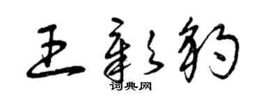 曾慶福王彰豹草書個性簽名怎么寫