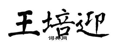 翁闓運王培迎楷書個性簽名怎么寫